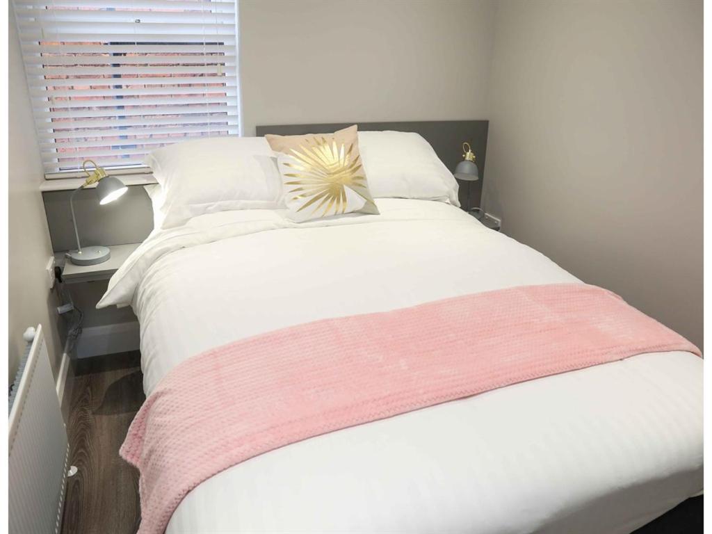 Belfast Serviced Apartments - Eglantine ภายนอก รูปภาพ